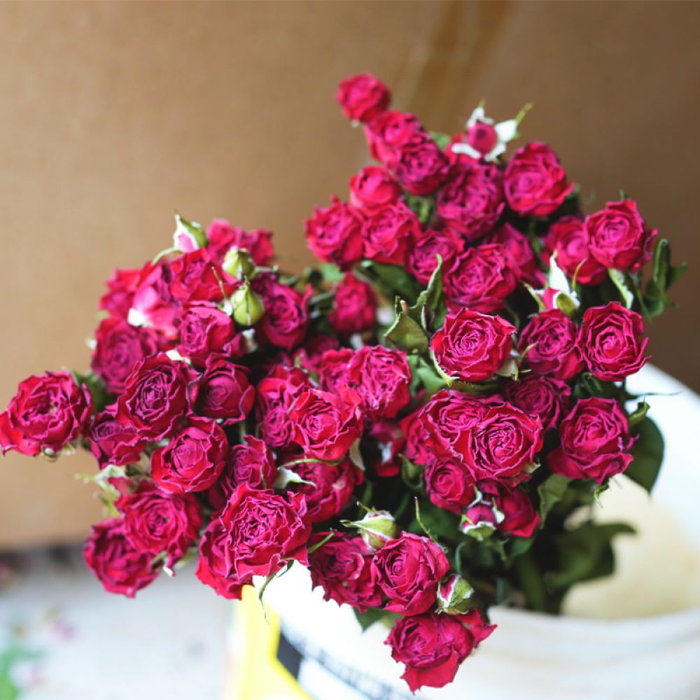 Epoksi Reçine Sanatı, Scrapboo - Resin Art Rose incelemesi ve fiyatı