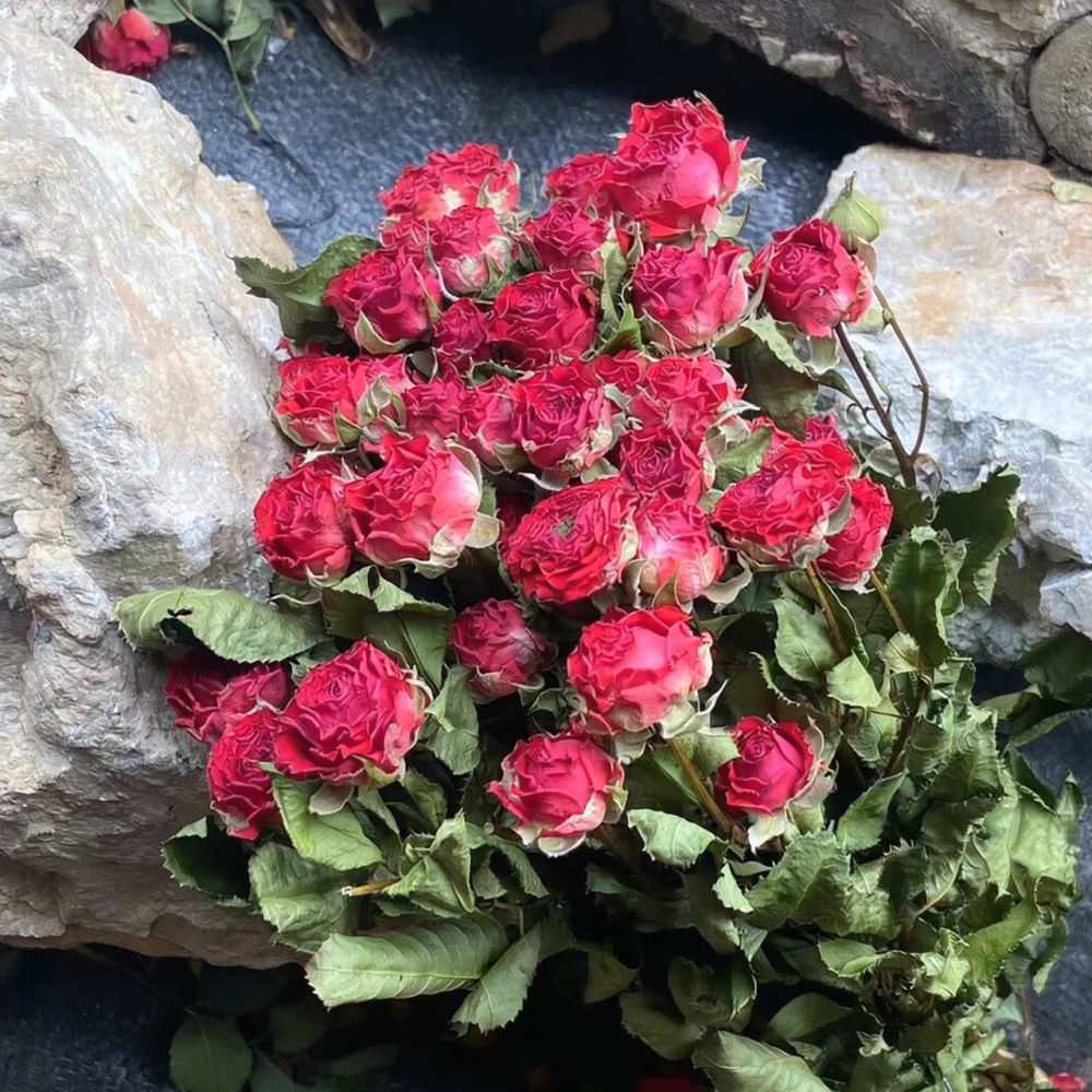 Epoksi Reçine Sanatı, Scrapboo - Resin Art Rose incelemesi ve fiyatı