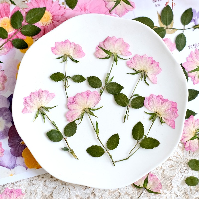 12 adet, Telefon Kılıfı DIY Pe - Resin Art Baby incelemesi ve fiyatı